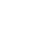 icons8-speed-meter-100